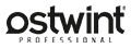 Ostwint